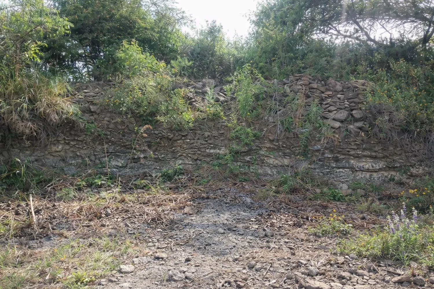 Narrida grounds and natural surroundings